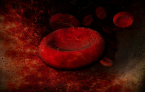 Blood Cells by Andrew Mason, on Flickr