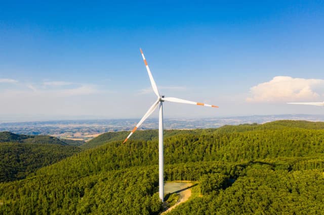 Ile jest elektrowni wiatrowych w Polsce? Zaskakujące statystyki i fakty